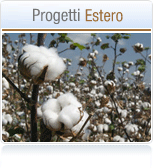 Progetti estero